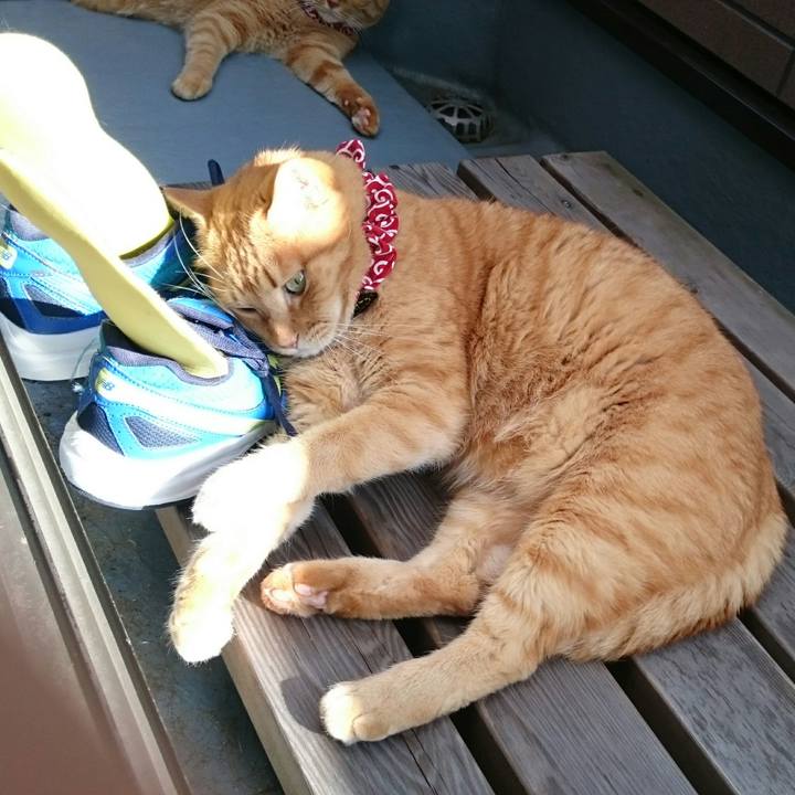 00ac7f4c 61cc 4261 af13 87a1344d4fb5