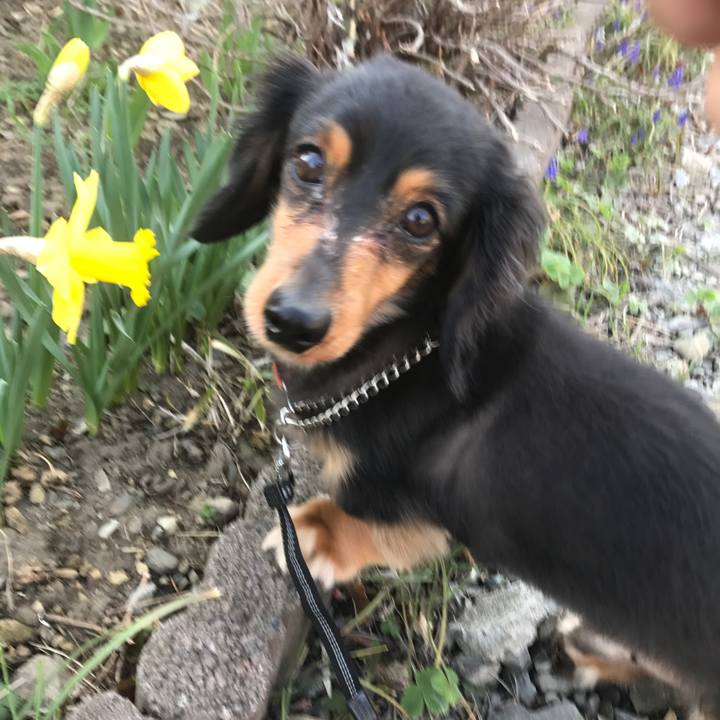 00ac93a3 64ce 4d23 b743 bc114e202c2b