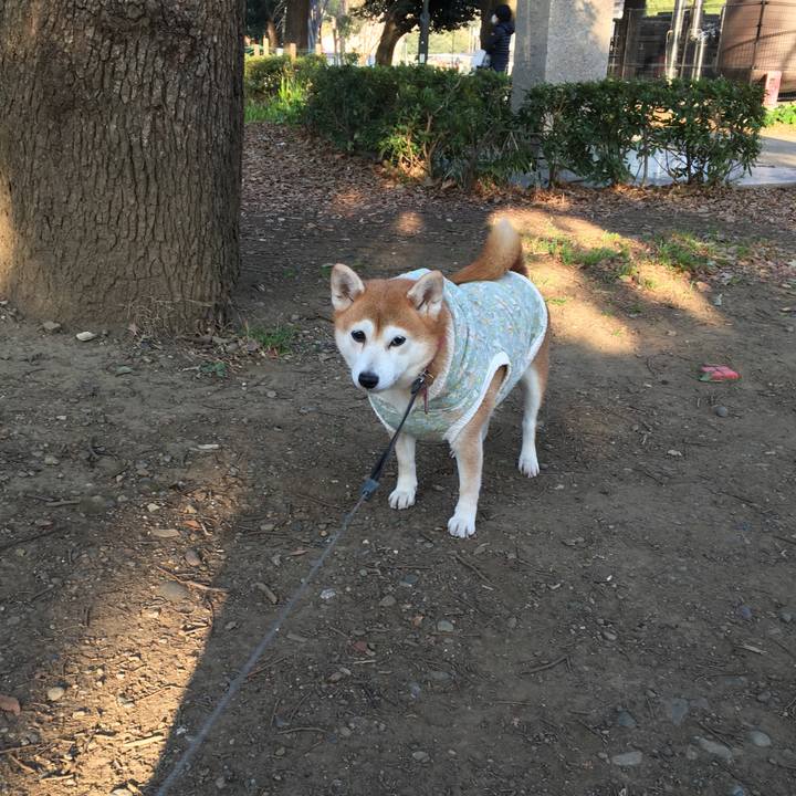 00accdab 3144 4312 bd39 bdde96d1375b