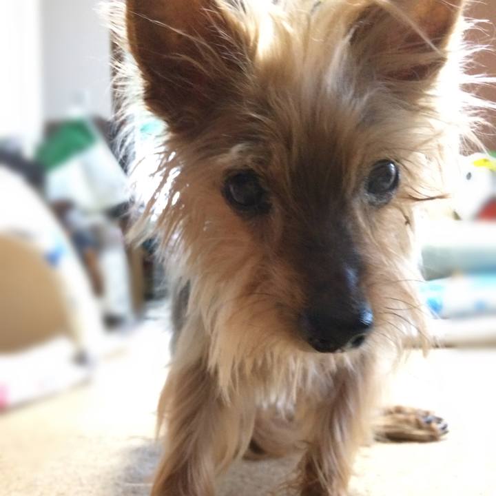 00acdf97 a423 46cc a857 20a4ed82ff64