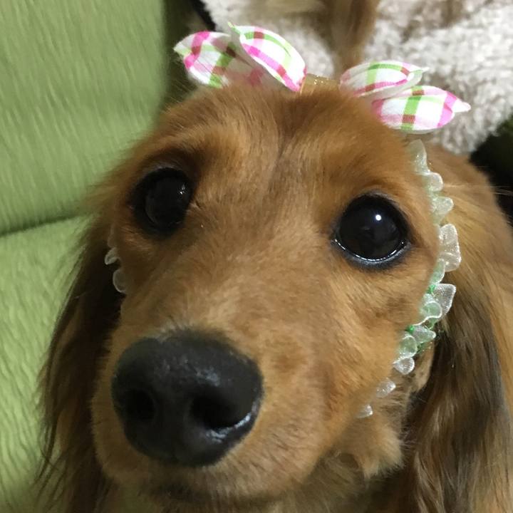 00ad01d1 ee0a 4d34 9ce0 c15eac0ba702