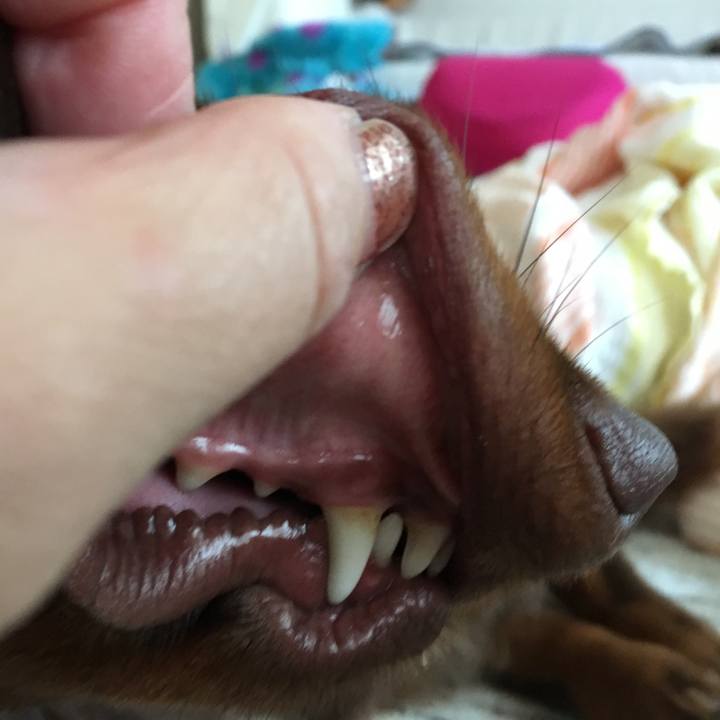 00ad0c3d e5ea 4d6a 814a e8c8c5987c56