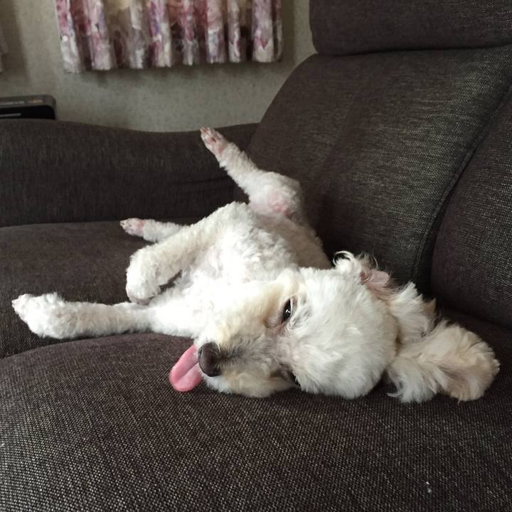 00ad7cfb 10e4 43e7 a092 a68dc7067333