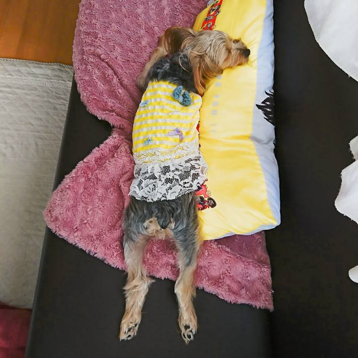 00ada274 e500 4478 859c c12d29239ebe