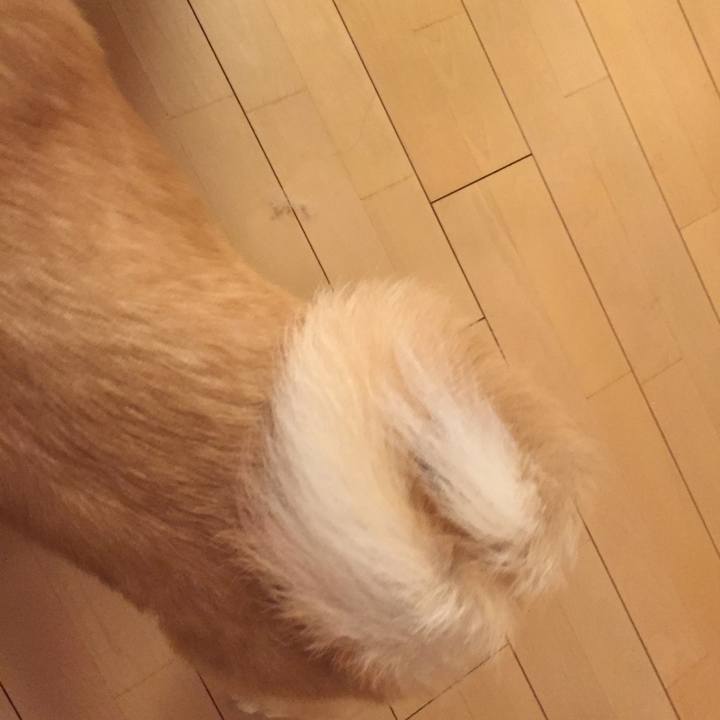 00adc60e f3c3 4722 a773 d6edfd06ea99