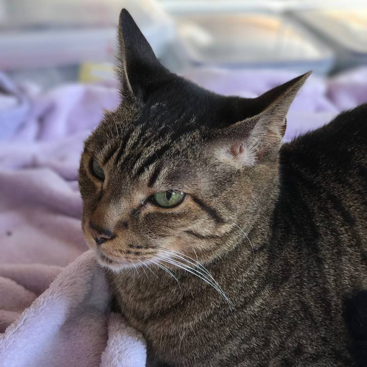 00ae4c63 a7c4 44dd baeb c032f0e67b7d