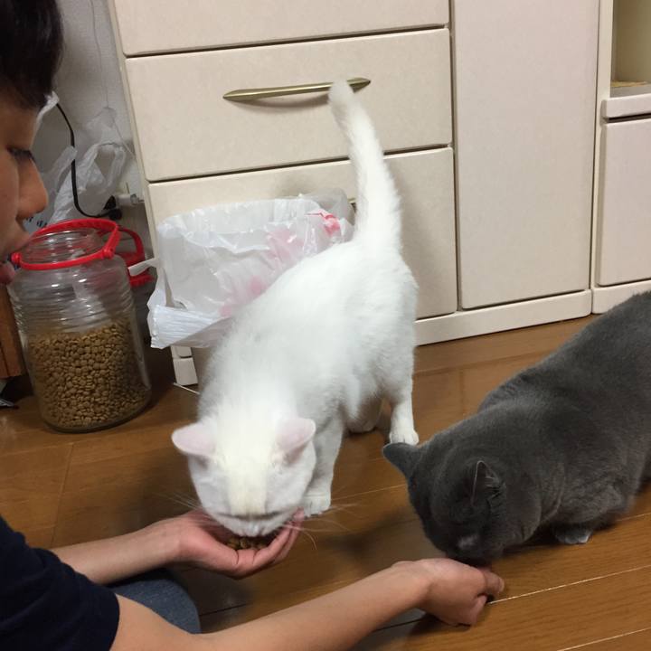 00af5606 0ee2 4f68 a8db e2396d7434ba