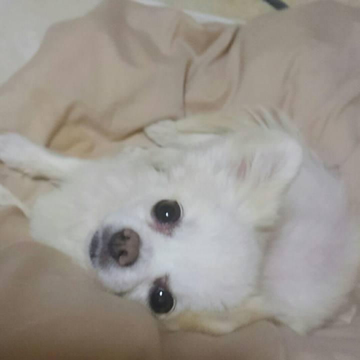 00afa7b5 5f57 4fa0 9715 36ea641ab5df