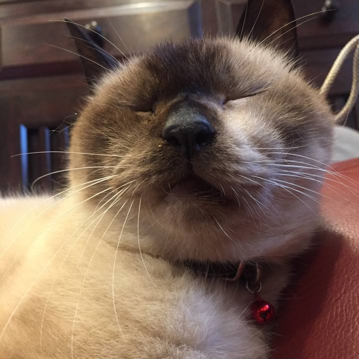 00b06dae 726d 4e77 be6b e1ba88cbc0d7