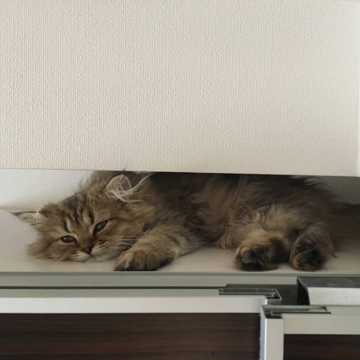 00b1198a aff2 4278 83dd d6a8a457be46