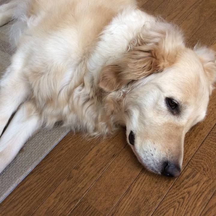 00b15c83 a188 4956 842b 987a6a12648e