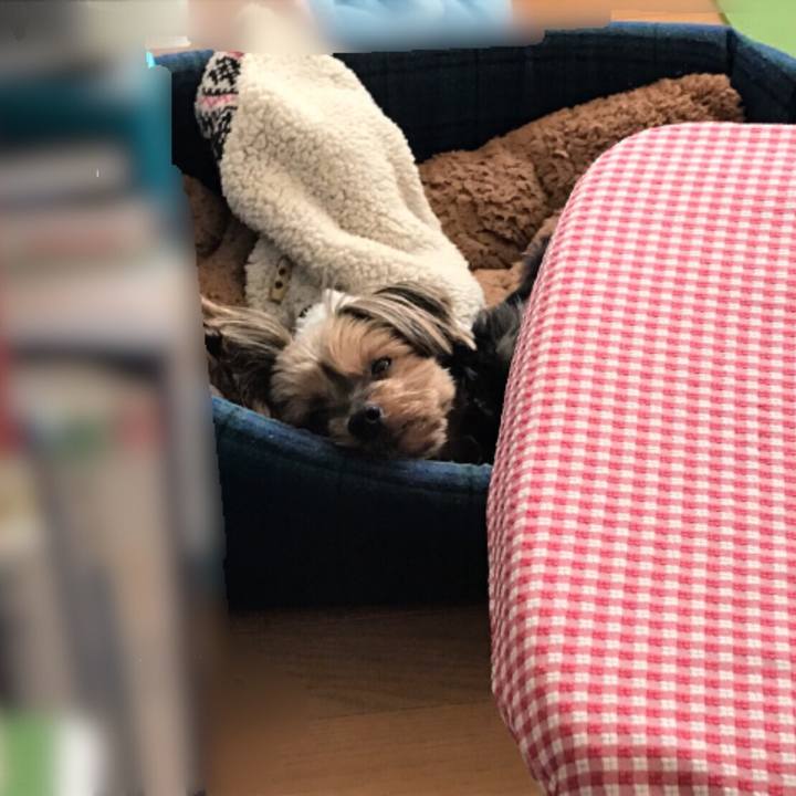 00b29286 8b6f 414a be57 663e5b8421db