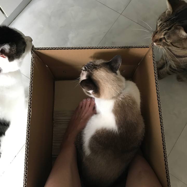 00b2c9c1 a072 4936 b93f 5713244a90a1