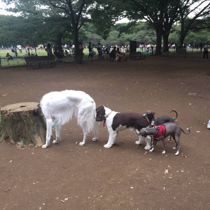 00b35e94 a0fa 4803 97f6 a9be614a26d0