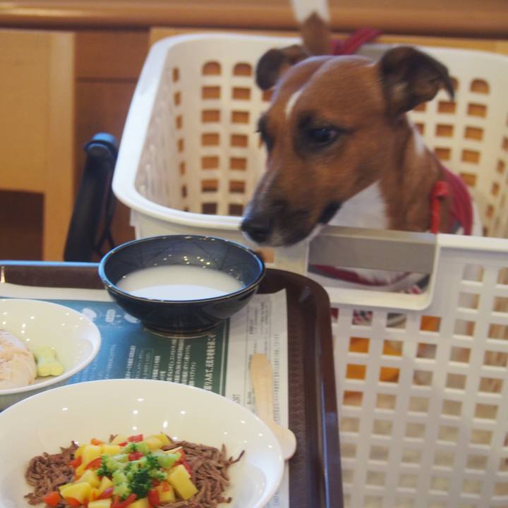 00b3c945 433f 4cf9 a781 11e7a5acb6b4