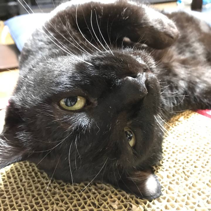 00b3df99 5c0a 4b12 9e1c 248770376ef3