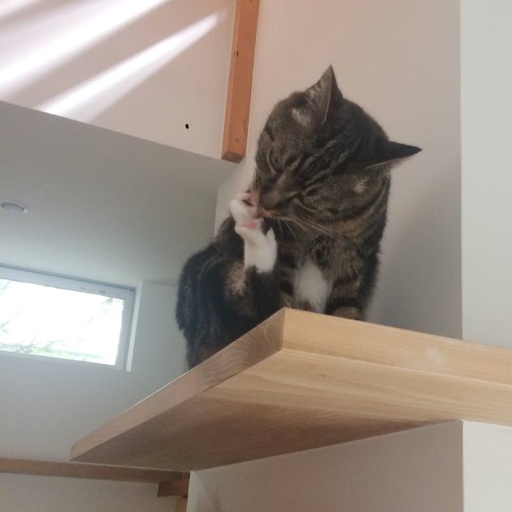 00b4696e b077 4c8e ba46 d1f37d3d7f8a