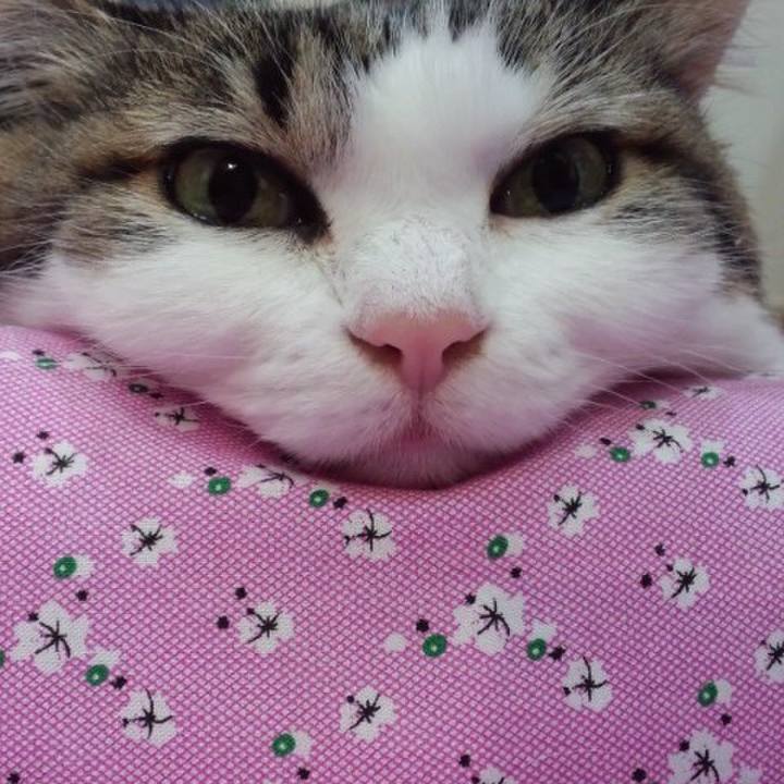 00b4e500 93f2 4da8 80c2 2646e843bea2