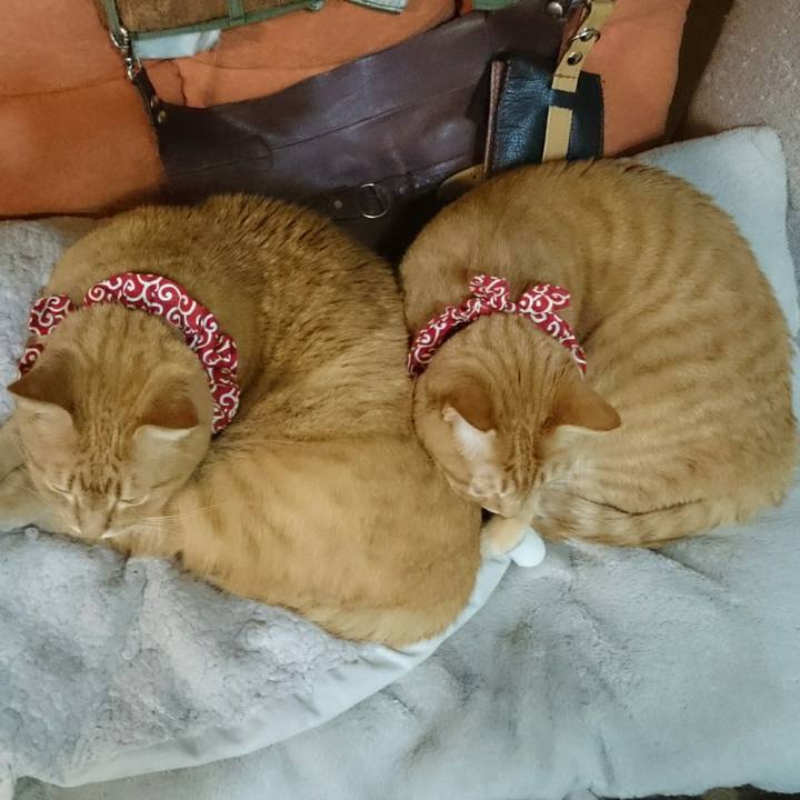 00b51655 aa60 420a aa7e f87de389221a