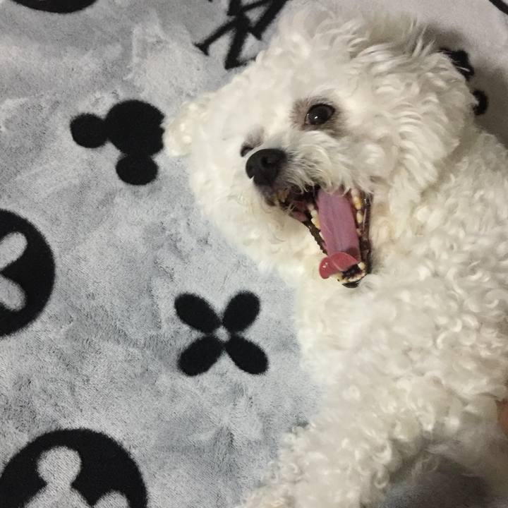 00b51a01 11d6 4c7a 9f96 3d0af3a5ef73