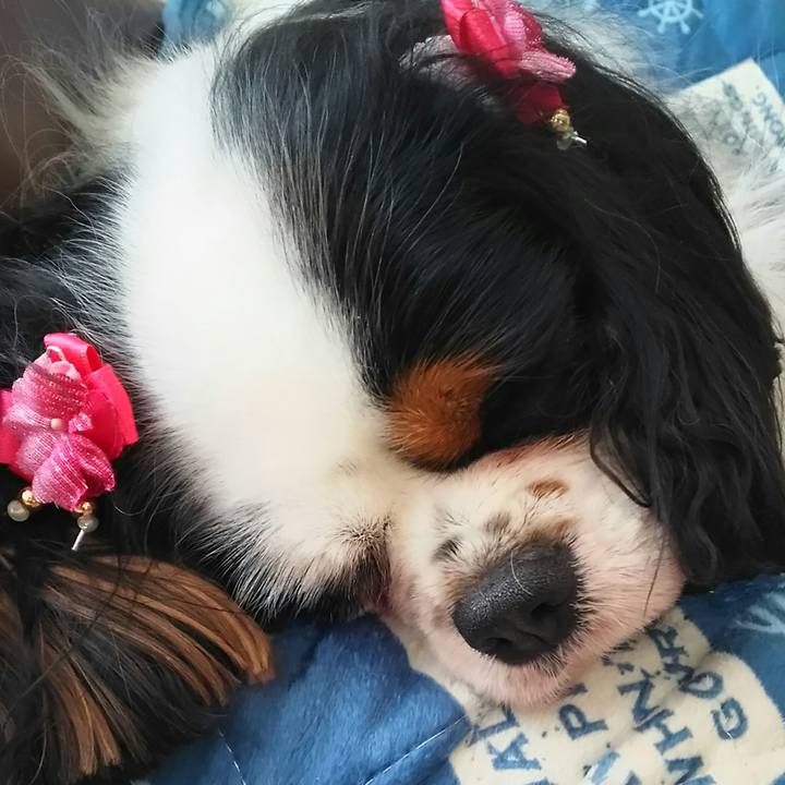 00b532df e719 48cd 9a2e 7a2ffd667b99