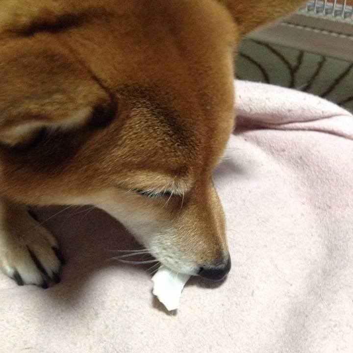 00b5b515 c358 4bf5 9fd0 52ace1926f21