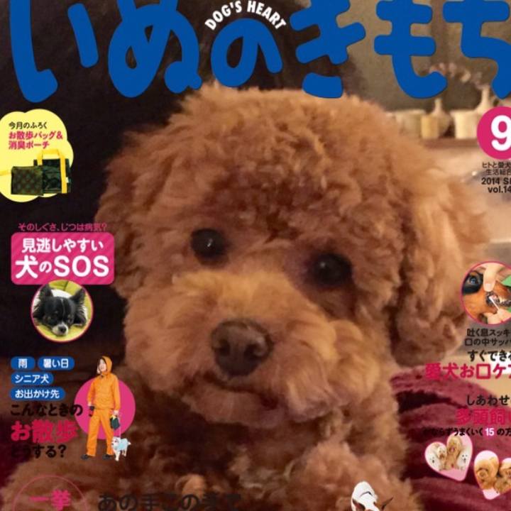 00b5f669 de59 4b31 b347 fb1fb19aac66