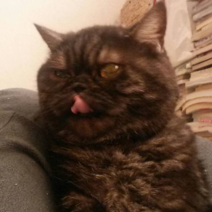 00b64559 aaec 4c35 a867 9a675173cde3