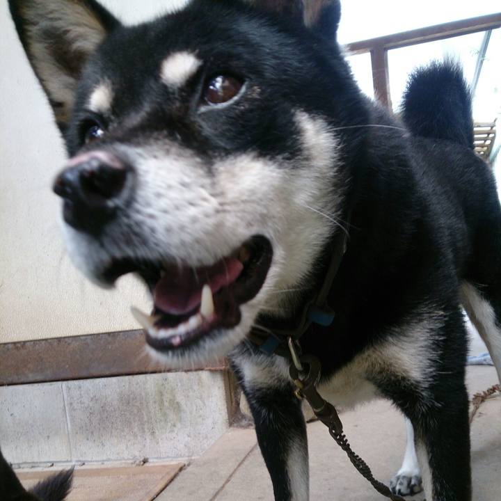 00b66485 5e53 49e0 9b1a 4ed0888e2d6c