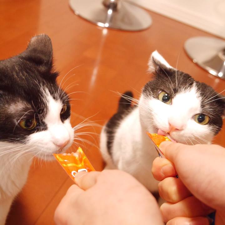 00b67afa 374e 4c19 9492 19c8eb0857ab