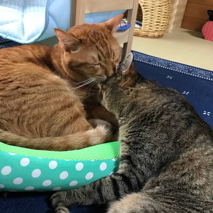 00b6b006 eb0d 41b7 8be6 627dbc3c2e79