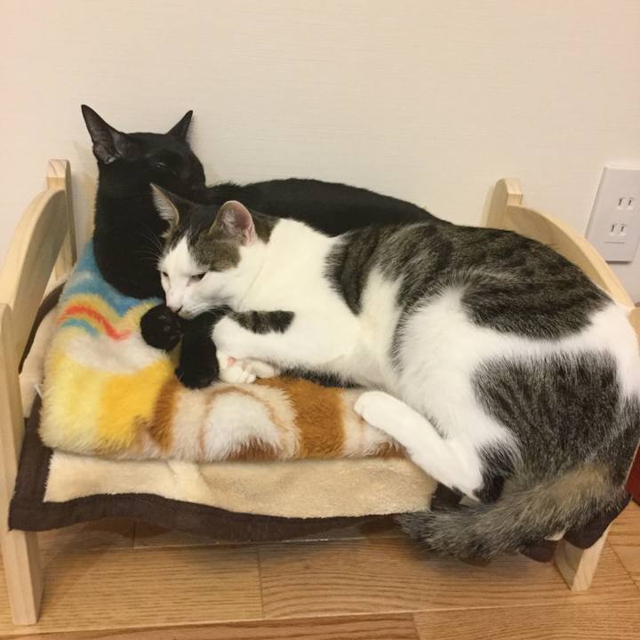 00b6d1cc 01da 46c1 a1e1 4d2cc7d02302