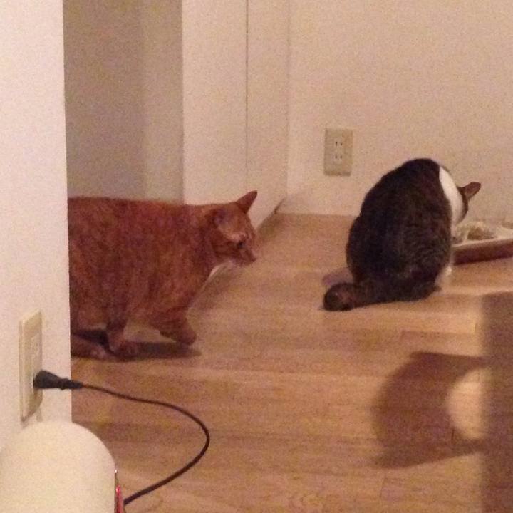 00b6f13a cdf3 4653 b58a 4a33b5638926