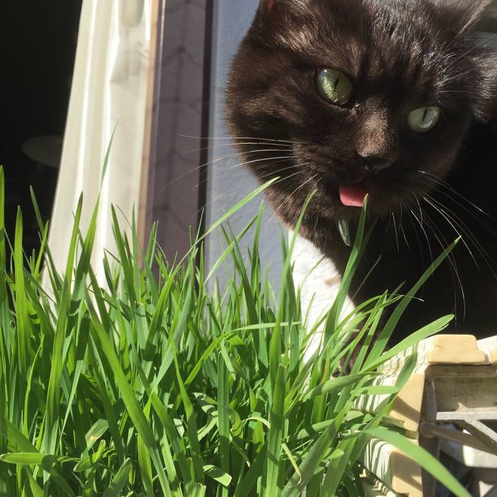 00b7d82c 1044 4b77 85e5 450da56dd505