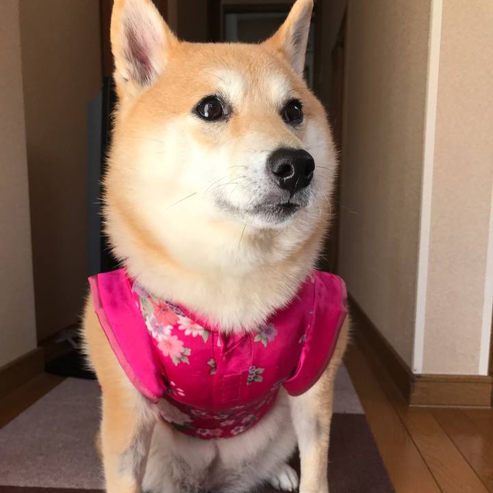 00b8b6c2 fb36 4f25 95f2 5ff67e50ebcf