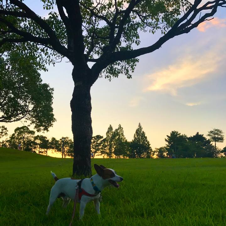 00b907b6 46d9 46cf 8889 f5d9ed710720