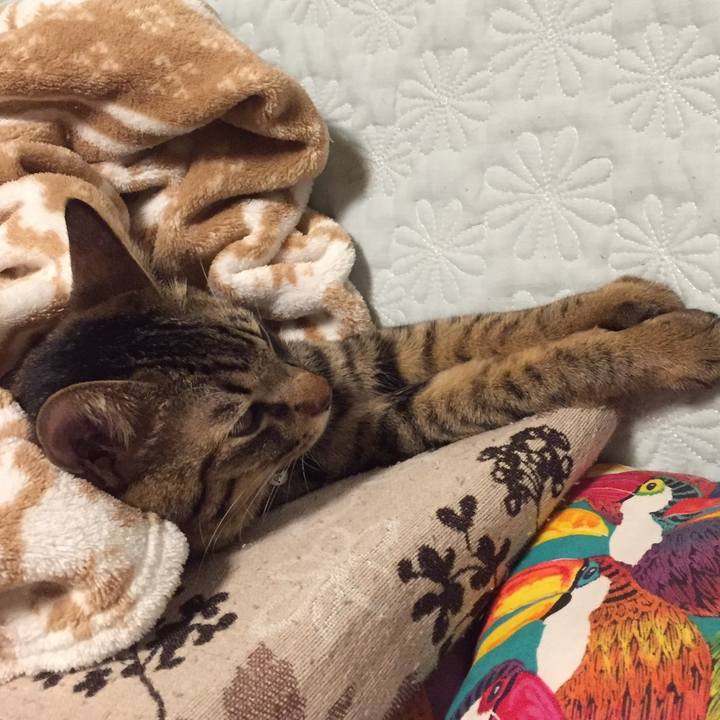 00b952be e29e 442b 8fe7 cdb312700bb3