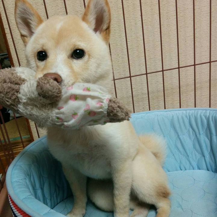 00b9d803 2e37 4f3e bffc 5fa77b10ba4b