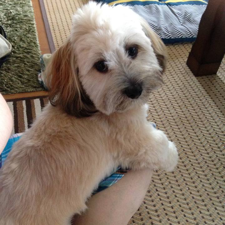 00ba1213 6e54 4264 b6c4 862ca6a73d86