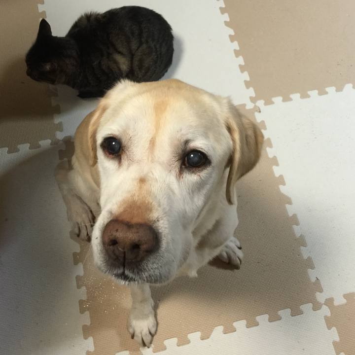 00ba3312 ec81 45ac 89d7 ef97fd82f293