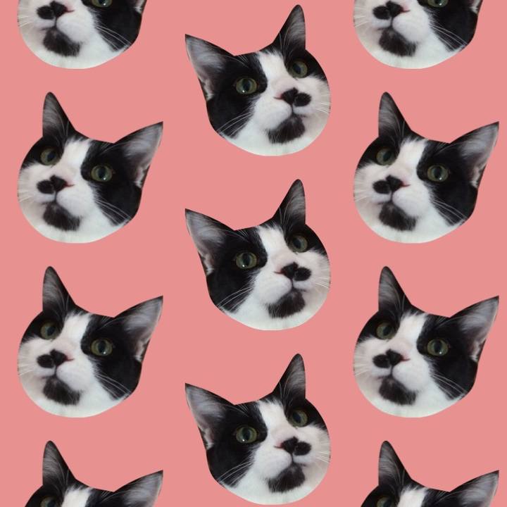 00ba45f9 1372 46e6 9a78 53590833ef93