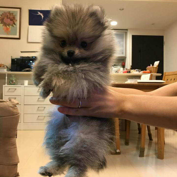 00ba515b 7924 4627 ba61 a4b9d526a1d0