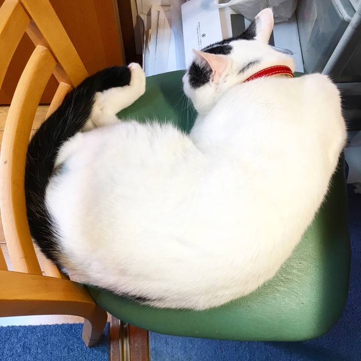 00bb10f0 9cb5 4028 bdc2 ee88b5d9bbe6