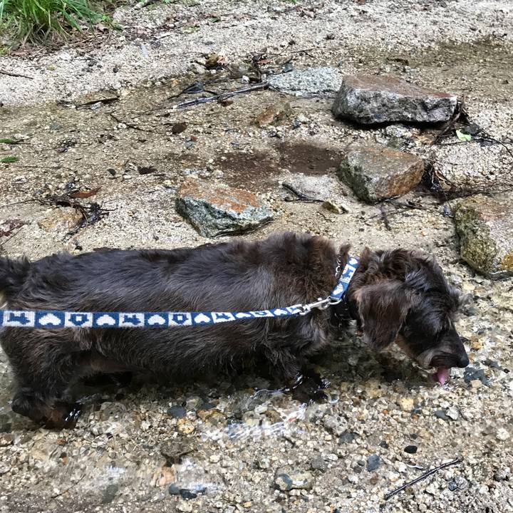 00bb80ed b187 40c4 9662 38f7e68810ce