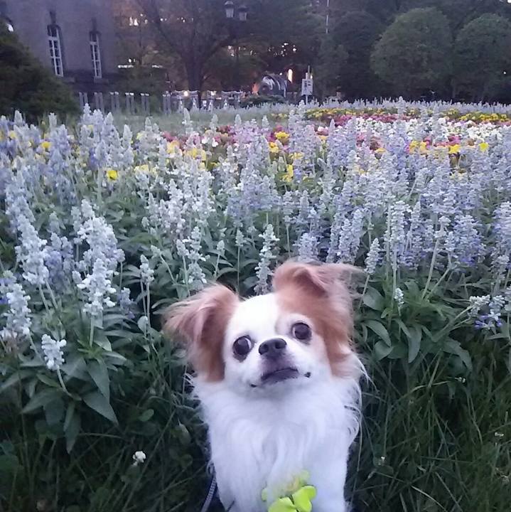 00bb8f5a 4a31 47a7 99bd 8e7807bfe22b