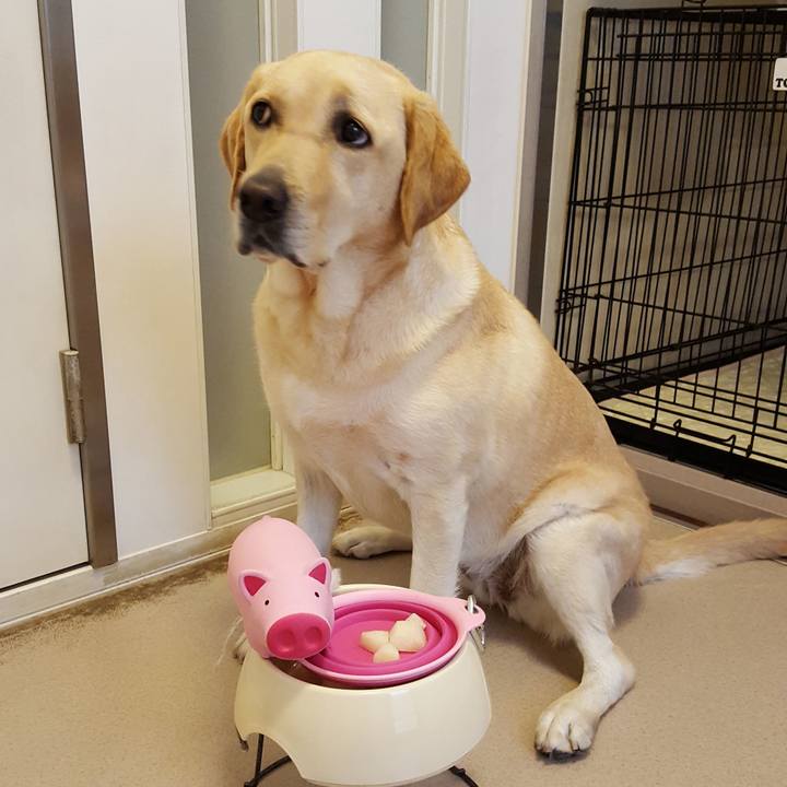 00bc62f3 85bd 4f2d b3b4 134fb33ab976