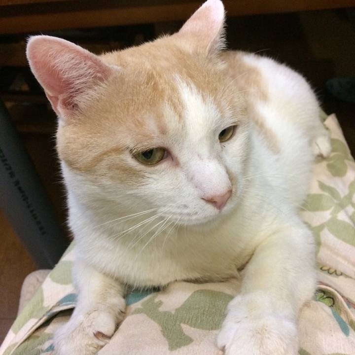 00bc99a6 9d41 4ef2 ab88 ce046d1f3c8a