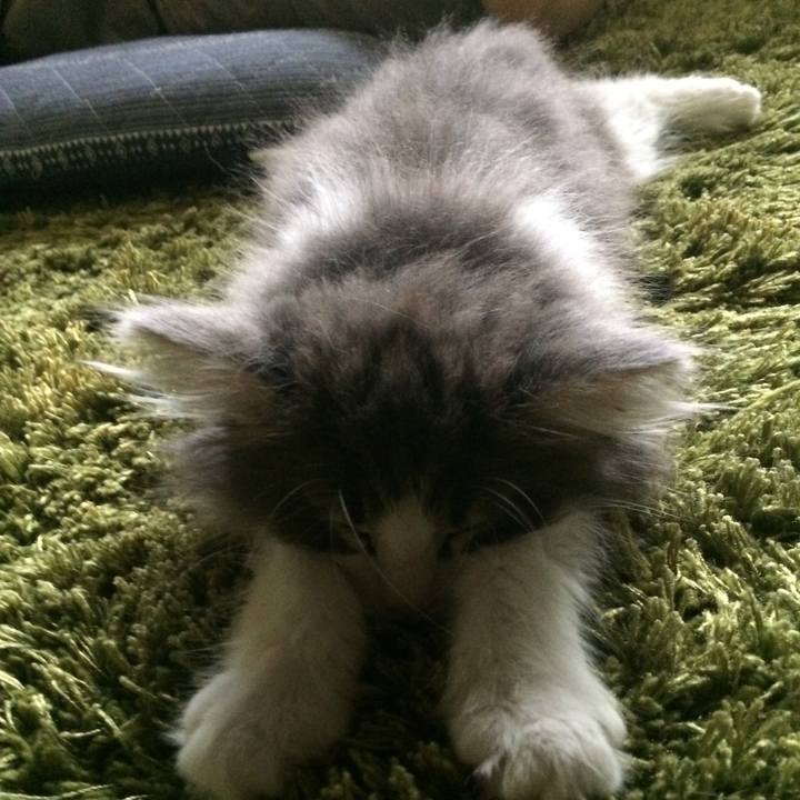 00bdb7af 2ca0 41c9 8b73 f9c86c4380b3