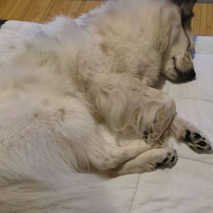 00bdf424 6736 47d1 8013 4b2feeb28ec1