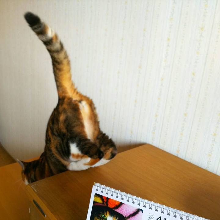 00bf05c9 6252 4edb 80ad b957cfdced8e